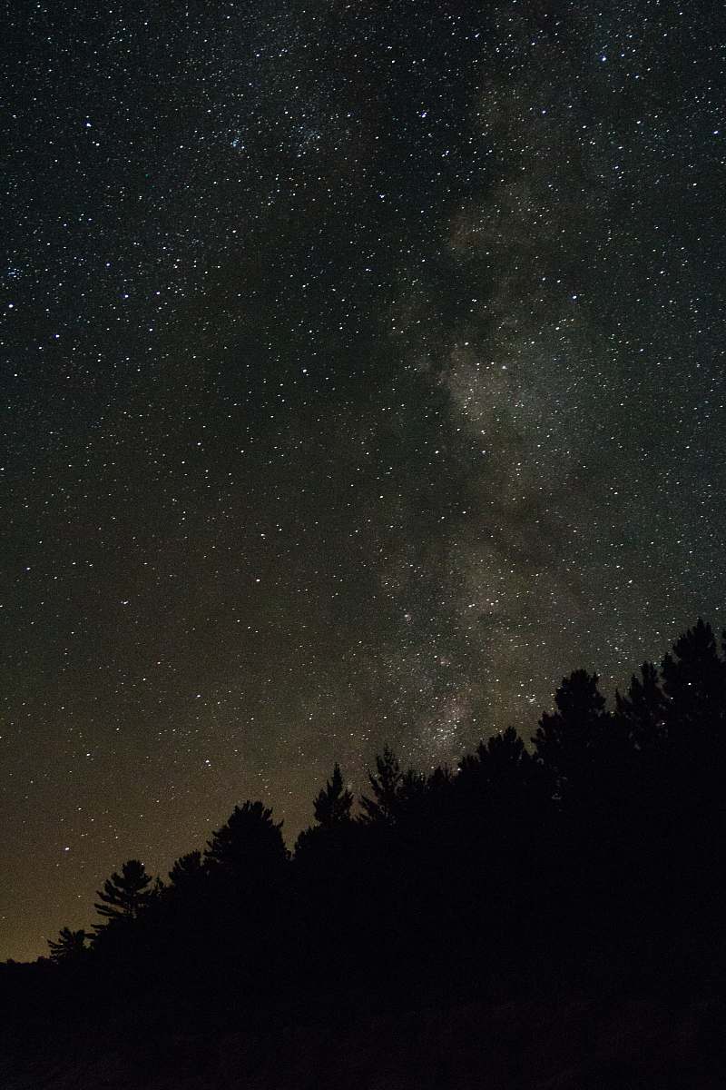 milky way stars and trees during night time iphone wallpapers
